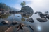 Lifting Fog Bonsai Cove