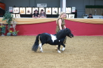 SBM_16607