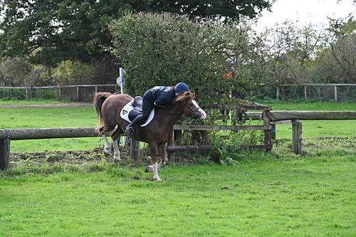 WJ7_8800
