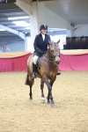 Class 906 - Supreme Final - Ridden Pre Vet portfolio