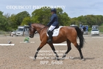 BPP_6488