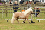 SBM_03501