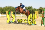 SBM_001425