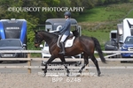 BPP_6248