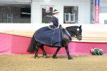 SBM_13685