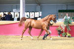 SBM_02263