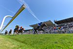 230626-Race 2-Tattie Bogle-1239