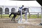 Cls 105 85cm Amateur Quali portfolio