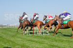 GUERNSEY RACE CLUB BANK HOLIDAY 2018 portfolio