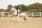 SBM_008231
