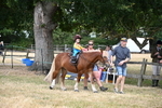 WJ6_4685