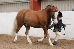 SIAL0461