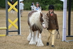 WJ6_8038
