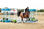 SBM_018816