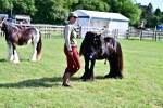 SBM_09511