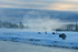 Bison on misty morning, Yellowstone National Park, Wyoming, USA
