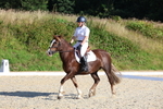 3E7A3665