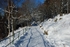 Fløyfjellet, Bergen