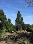 Regent's Park