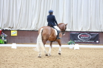 SBM_020731