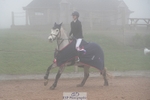 Cls 39 Academy Individual Horse 70cm portfolio