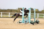 SBM_002973