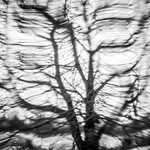 18 04-3030018