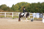 SBM_009335