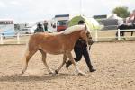 SBM_06884
