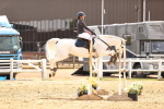 SBM_001984