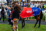 210826-Race 1-Blue Courvoisier-6262