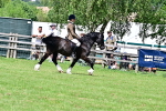 SBM_08025