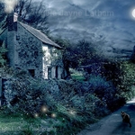 The Witches House