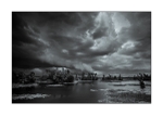 Orange County - Orlando Wetlands Park II