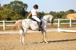 SBM_007833