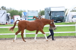 SBM_04437
