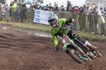 HIMX Hawkstone International MX_08215_TGS4737