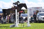BPP_6302