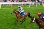 130626-Race 1-Dunkeld Dreamer-0332