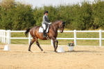 SBM_018431