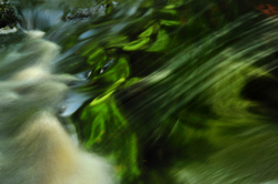 Freshwater 2 portfolio