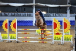 SBM_002228