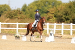 SBM_017618