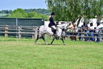 SBM_17382