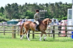 SBM_03703