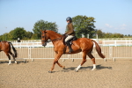 SBM_02238