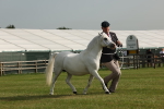 SBM_00527