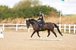 SBM_009648
