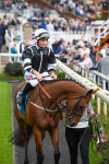 250823-Race 5-Reach-0841