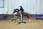 Show Jumping and Fun Classes - 26-10-25 portfolio